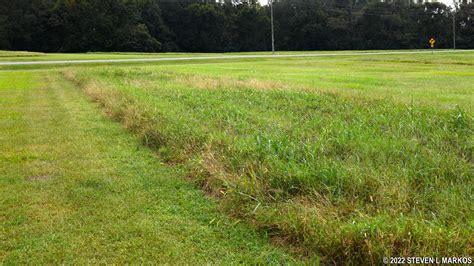 Poverty Point National Monument | RIDGE 1 SOUTH AND SOUTHEAST