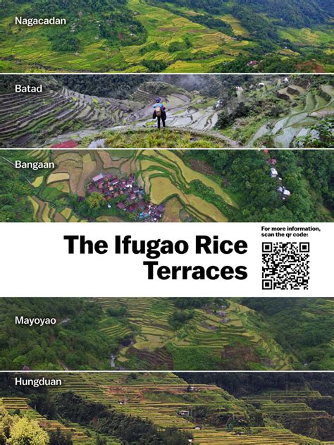 The Ifugao Rice Terraces | Ifugao Community Heritage Galleries