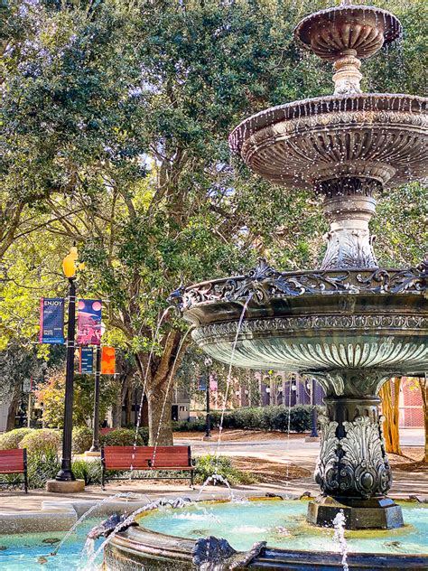 Things To Do In Tallahassee: A Three Day Itinerary to Florida's Capital