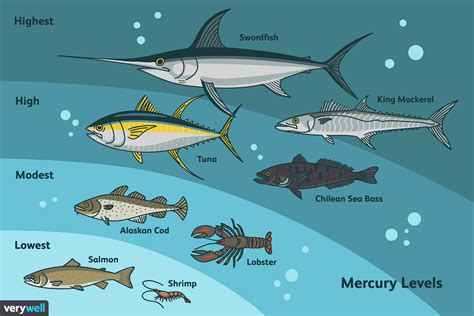 The Best Types of Fish Ranked by Mercury Content