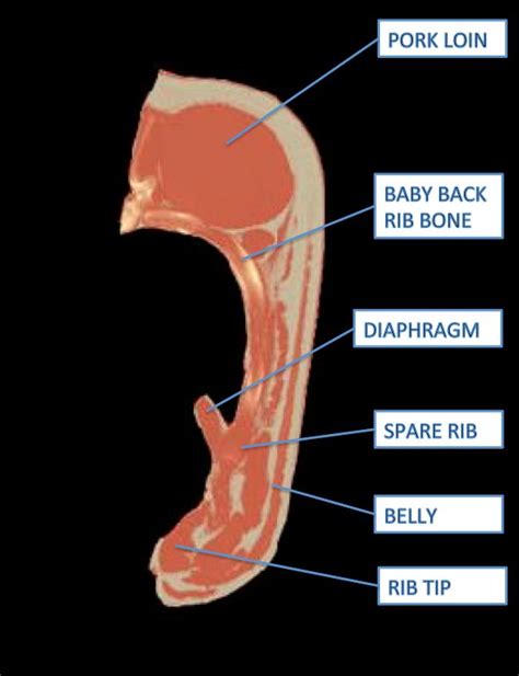 BBQ Anatomy 101: Pork Ribs – Texas Monthly