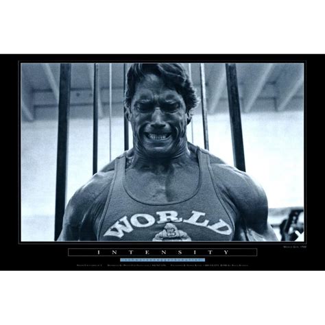 Pumping Iron Poster - 36x24 - Walmart.com - Walmart.com