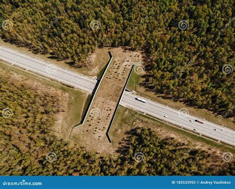 Wildlife Crossing-a Bridge Over a Highway in the Forest. the View from ...