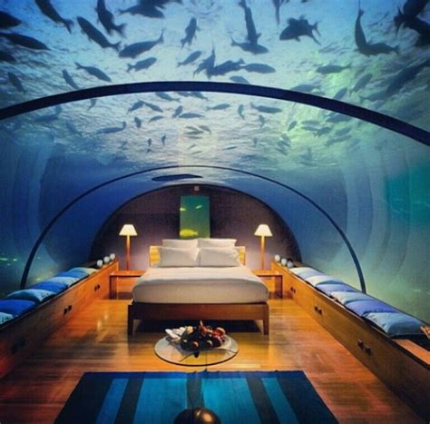 Under da sea | Underwater hotel room, Underwater bedroom, Underwater hotel