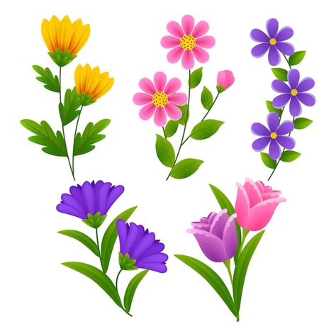 Spring Flower Bouquet Clipart Free | Best Flower Site