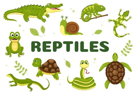 conjunto de plantilla de reptil animal ilustración plana de dibujos ...