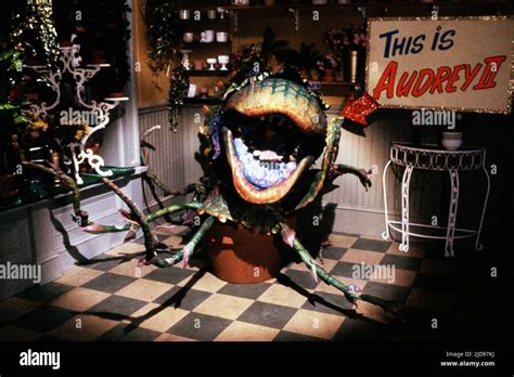 AUDREY II, LITTLE SHOP OF HORRORS, 1986 Stock Photo - Alamy