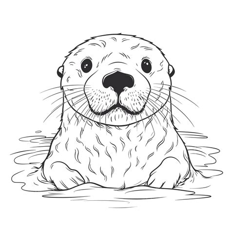 Otter Im Wasser Auf Weißem Hintergrund Malseite Umriss Skizze Zeichnung ...