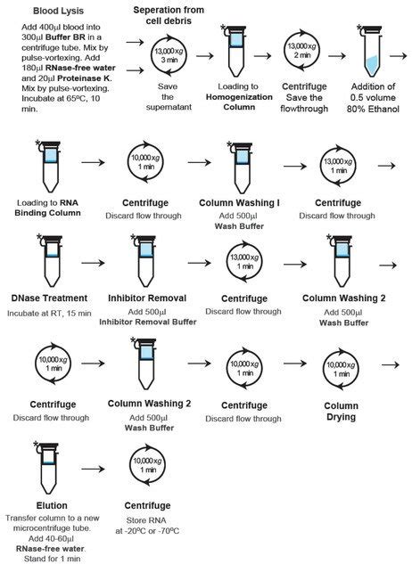 Total RNA from Blood Extraction Kit - seraglob