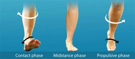 3 Highly Effective Exercises for Ankle Mobility & Dorsiflexion