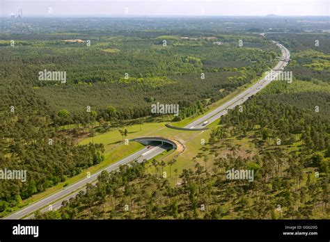 Aerial view, highway crossing, deer crossing, wildlife bridge over the ...