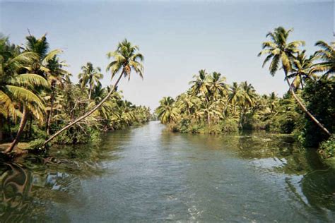 SelfRoadiez | Kerala – Hills and Backwaters