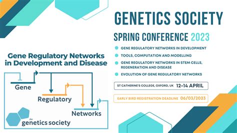 Gene Regulatory Networks in Development and Disease - the Node