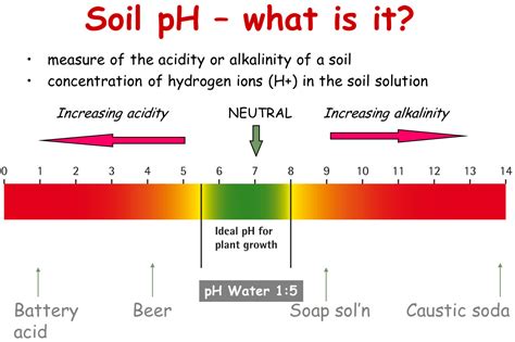 Soil Ph Chart For Plants