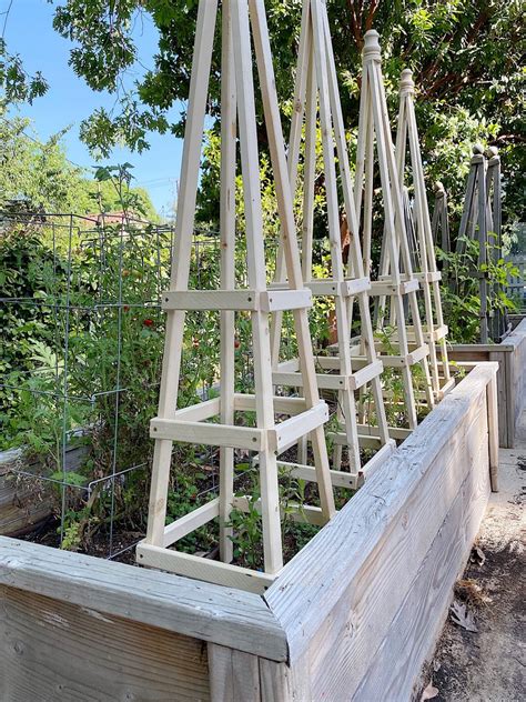 Diy Wood Tomato Trellis / The Best Homemade Tomato Cages Organic ...