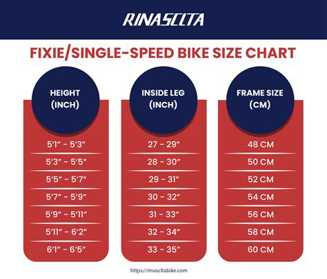 Bike Size Chart [Infographic]-Get The Right Size in 2 Mins