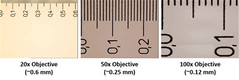 Maximizing Microscope Field of View With Scientific Cameras