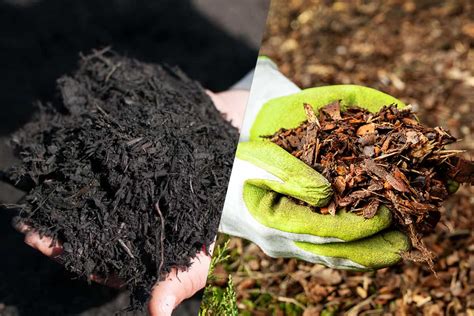 Black Mulch Vs. Brown Mulch Pros & Cons: Which Is Better?