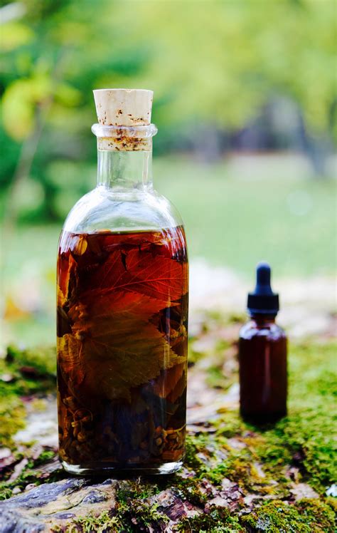 Herbal Tincture Recipe Book | Dandk Organizer