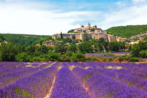 Guide to the Lavender Fields of Provence, South of France - Charles ...