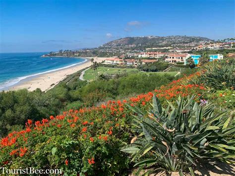 Ritz Carlton at Dana Point, California - Beautiful flowers overlooking ...