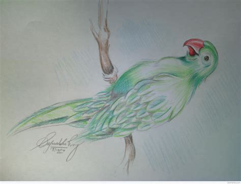 Parrot Paintings | DesiPainters.com