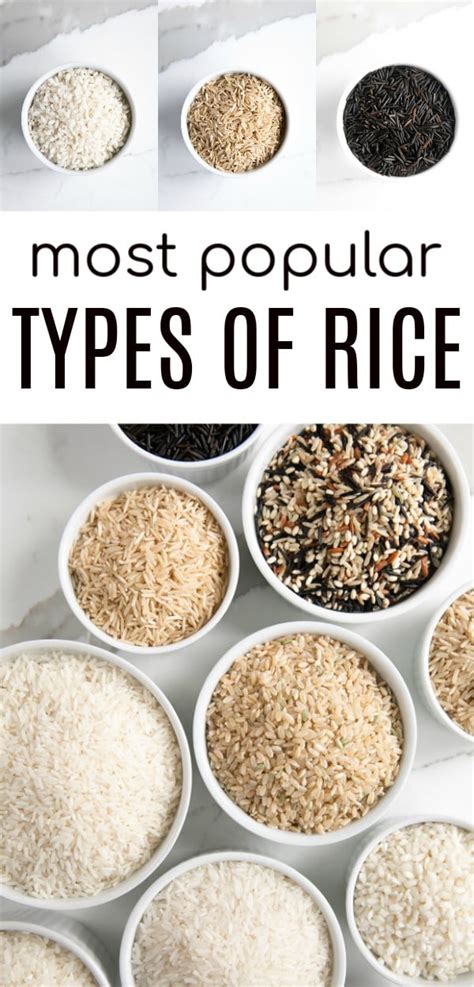 Types Of Rice: Varieties, Textures, Colors Shapes, 51% OFF