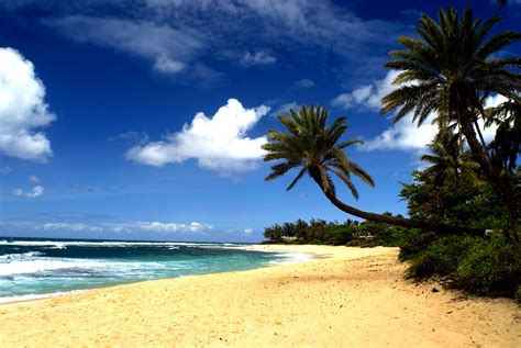 Hawaii Beaches Wallpaper - WallpaperSafari