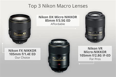 9 Best Macro Lenses for Nikon to Buy in 2025