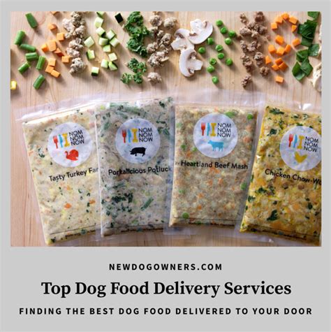 Top Dog Food Delivery Subscription Services - New Dog Owners