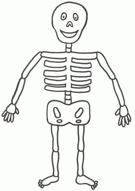 Skeleton Worksheet For Kindergarten