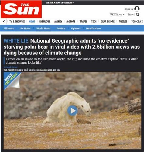 White Lie: Polar bear starvation is virtually never caused by sea ice ...