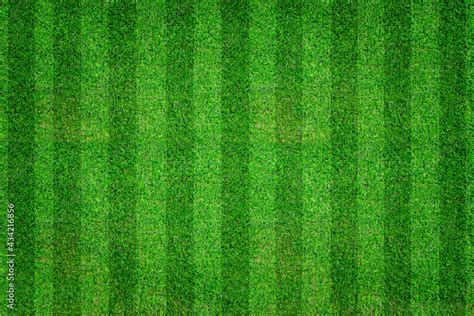 Green lawn soccer, football field. Striped grass texture for sport ...