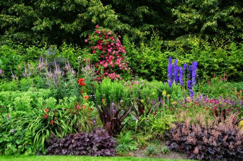 Regents Park Rose Garden London - I.A.