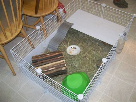 cavy cage - Guinea Pig Cages