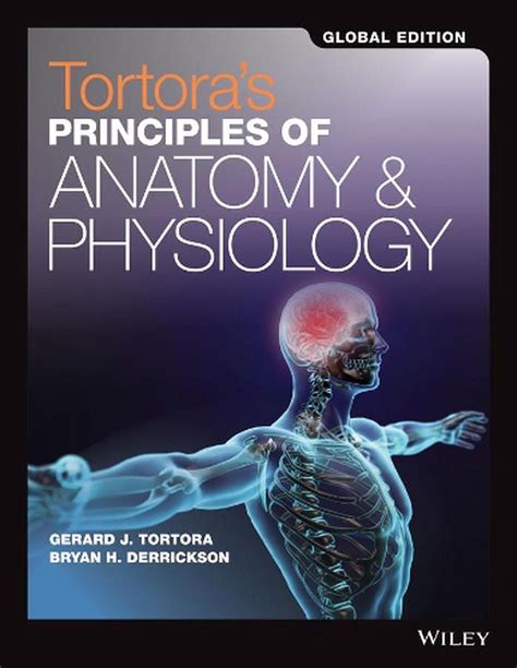 Principles of Anatomy and Physiology Set 15E Global Edition by Tortora ...