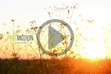 Beautiful Sunset Grass. HD | Nature Stock Photos ~ Creative Market