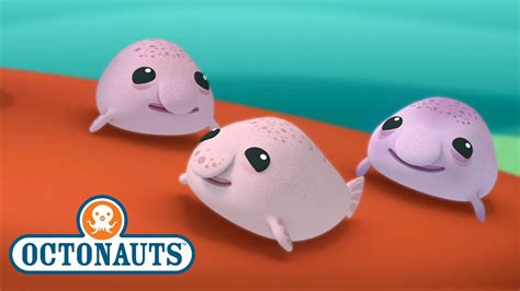 @Octonauts - The Blobfish Brothers | Full Episode 33 ...