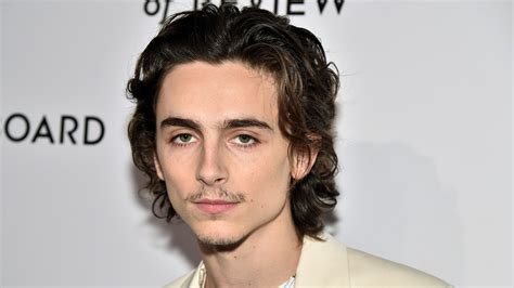 Timothée Chalamet's Mustache Sparks Internet-Wide Debate — Twitter ...