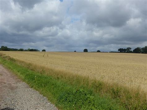 Stoke Field Battlefield © Alan Murray-Rust cc-by-sa/2.0 :: Geograph ...