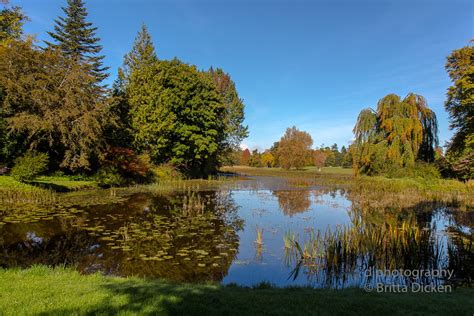 Birr Castle Gardens - *fotowissen