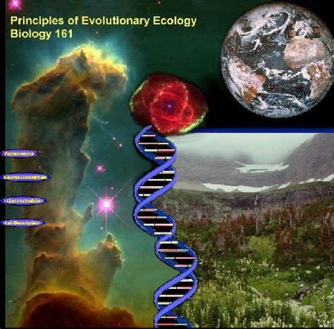 Evolutionary Biology: Principles Of Evolutionary Biology