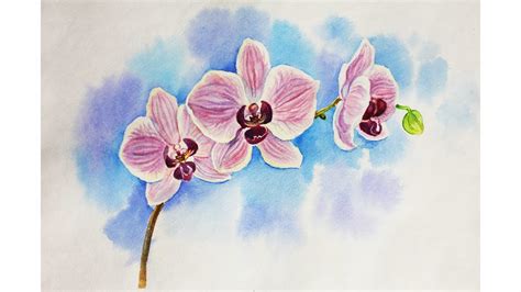 Drawing lessons. How to draw an orchid, whatercolour fl... | Doovi