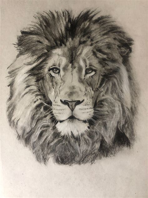 Drawing a Lion! Realistic Art with Charcoal | by @Simon | Medium