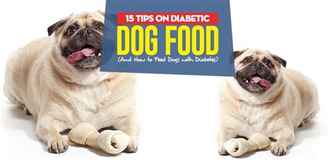 15 Tips on Diabetic Dog Food and How to Feed Dogs with Diabetes