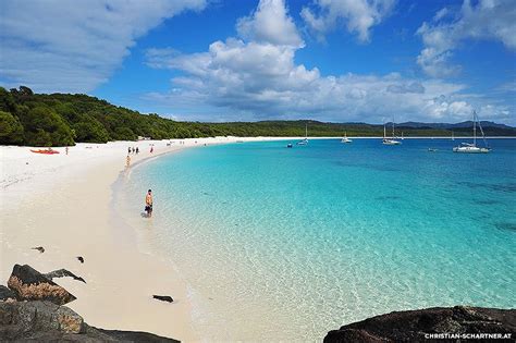 Whitehaven, Australia! | Whitehaven beach australia, Beaches in the ...