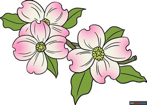 How to Draw Dogwood Flowers - Really Easy Drawing Tutorial