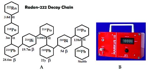 (A) Radon decay chain. Gaseous 222 Rn decays with a half-life of 3.8 d ...