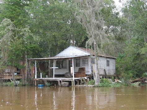 Cajun Swamp House | Bayou house, Louisiana swamp, Swamp