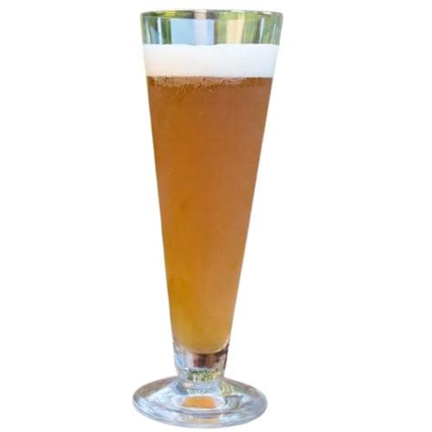 Gose Beer Recipe - Beer is my life